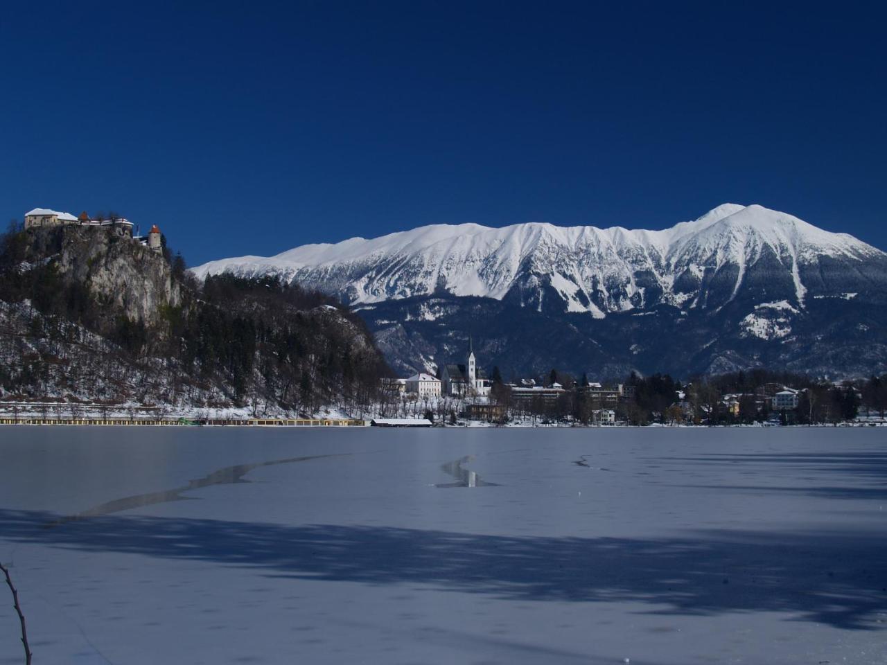 Holiday Home Katricnek Bohinjska Bela Luaran gambar